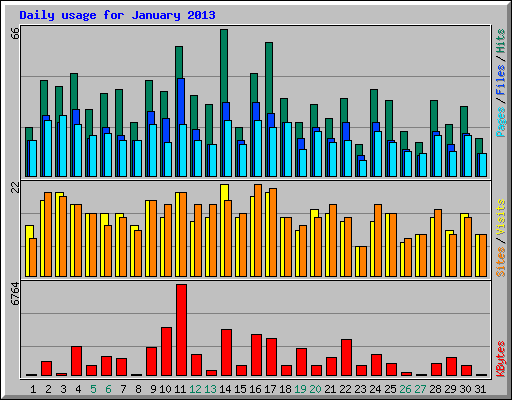 Daily usage for January 2013