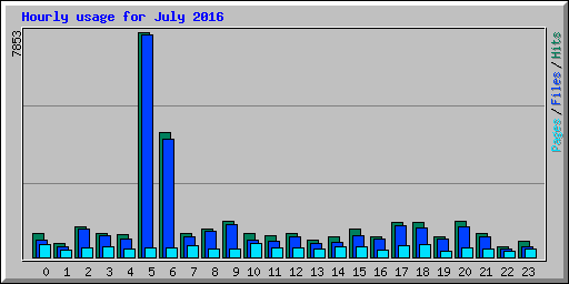 Hourly usage for July 2016
