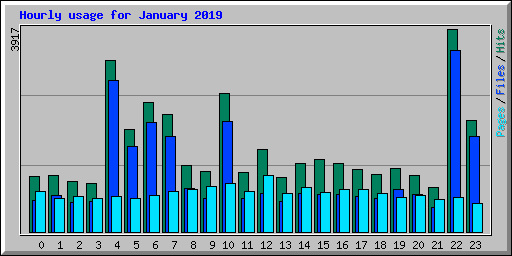Hourly usage for January 2019